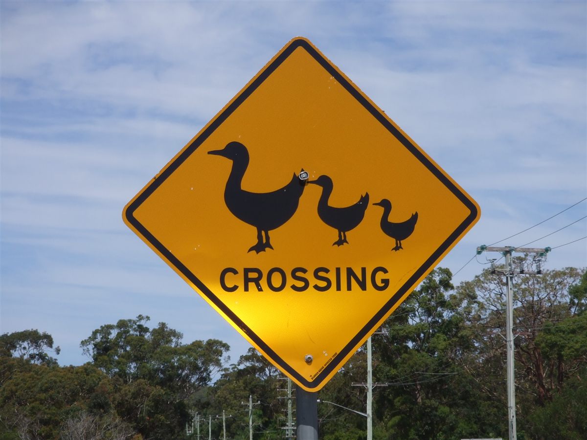 Road safety comes first